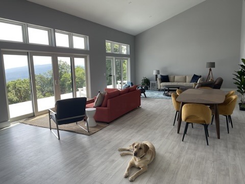 Living room with wide mountain view and Sidney resting on the floor